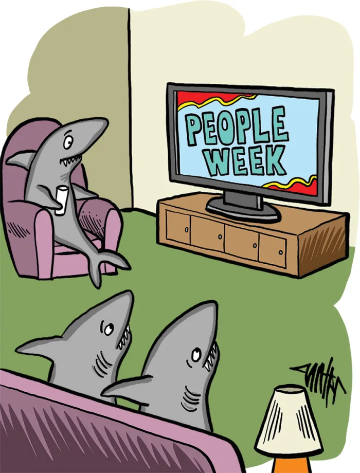 Shark cartoon 1