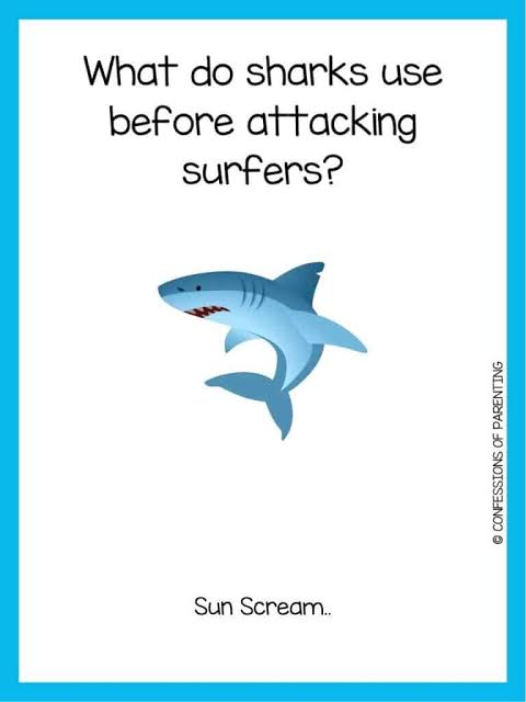 Shark cartoon 2