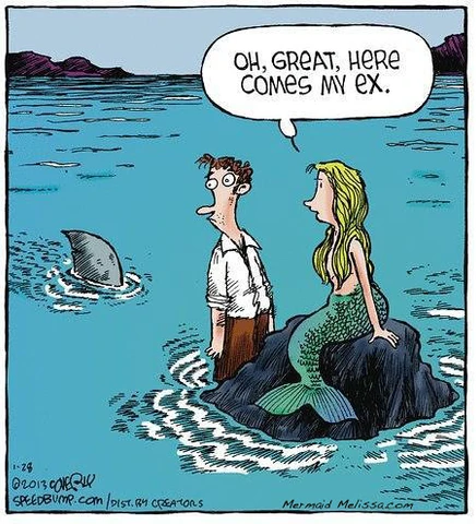 Shark cartoon 3