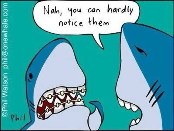 Shark cartoon 5