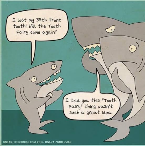 Shark cartoon 6